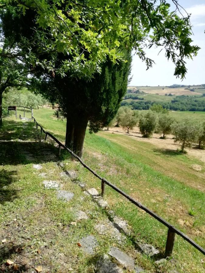 Agriturismo Podere Cherzo Чиниджиано Экстерьер фото